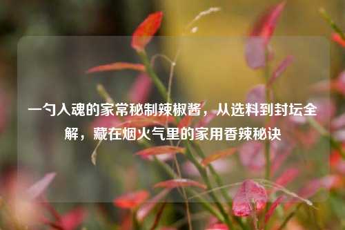 一勺入魂的家常秘制辣椒酱,从选料到封坛全解,藏在烟火气里的家用香辣秘诀