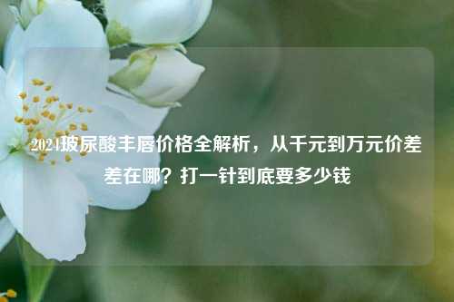2024玻尿酸丰唇价格全解析,从千元到万元价差差在哪?打一针到底要多少钱