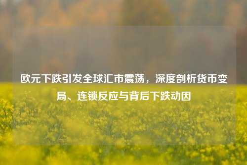 欧元下跌引发全球汇市震荡,深度剖析货币变局、连锁反应与背后下跌动因