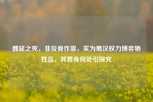 魏延之死，非反骨作祟，实为蜀汉权力博弈牺牲品，其葬身何处引探究