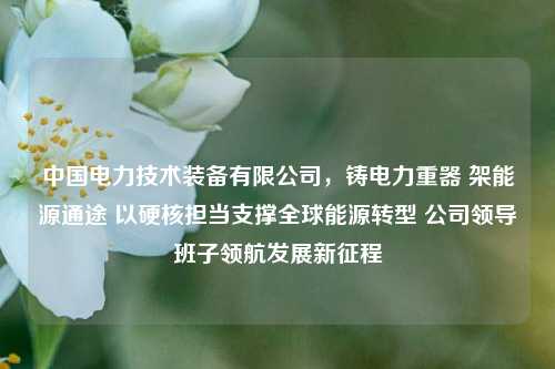 中国电力技术装备有限公司，铸电力重器 架能源通途 以硬核担当支撑全球能源转型 公司领导班子领航发展新征程