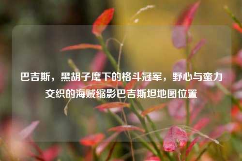 巴吉斯,黑胡子麾下的格斗冠军,野心与蛮力交织的海贼缩影巴吉斯坦地图位置