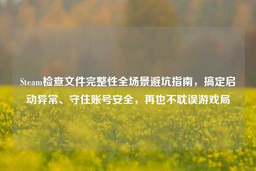 Steam检查文件完整性全场景避坑指南,搞定启动异常、守住账号安全,再也不耽误游戏局