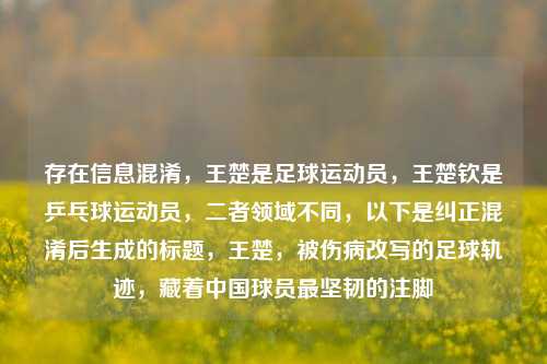 存在信息混淆,王楚是足球运动员,王楚钦是乒乓球运动员,二者领域不同,以下是纠正混淆后生成的标题,王楚,被伤病改写的足球轨迹,藏着中国球员最坚韧的注脚