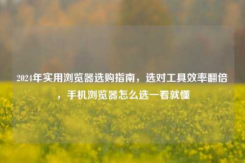 2024年实用浏览器选购指南,选对工具效率翻倍,手机浏览器怎么选一看就懂