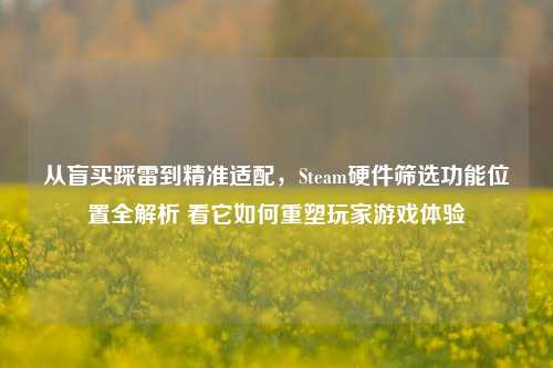从盲买踩雷到精准适配，Steam硬件筛选功能位置全解析 看它如何重塑玩家游戏体验