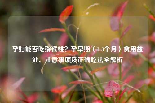 孕妇能否吃猕猴桃?孕早期(1-3个月)食用益处、注意事项及正确吃法全解析