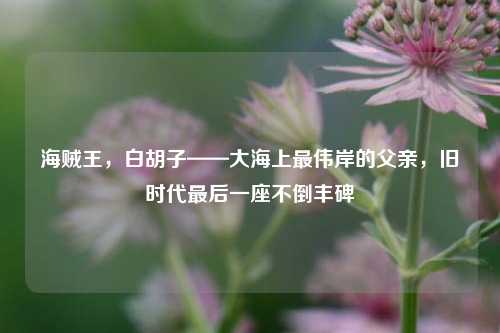 海贼王,白胡子——大海上最伟岸的父亲,旧时代最后一座不倒丰碑