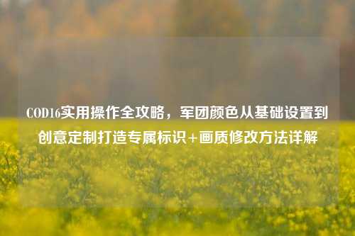 COD16实用操作全攻略，军团颜色从基础设置到创意定制打造专属标识+画质修改方法详解