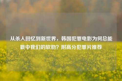从杀人回忆到新世界，韩国犯罪电影为何总能戳中我们的软肋？附高分犯罪片推荐