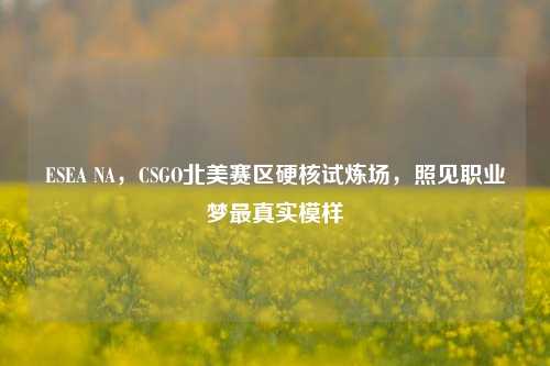 ESEA NA，CSGO北美赛区硬核试炼场，照见职业梦最真实模样