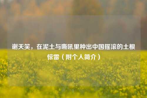 谢天笑,在泥土与嘶吼里种出中国摇滚的土根惊雷(附个人简介)