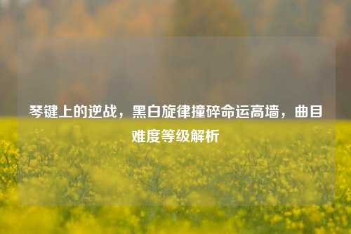 琴键上的逆战，黑白旋律撞碎命运高墙，曲目难度等级解析