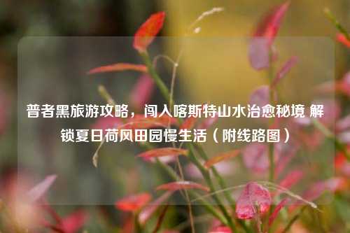 普者黑旅游攻略,闯入喀斯特山水治愈秘境 解锁夏日荷风田园慢生活(附线路图)