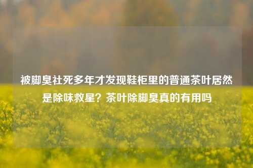 被脚臭社死多年才发现鞋柜里的普通茶叶居然是除味救星?茶叶除脚臭真的有用吗