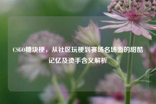 CSGO糖块梗,从社区玩梗到赛场名场面的甜酷记忆及烫手含义解析