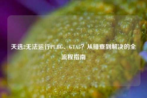 天选2无法运行PUBG、GTA5?从排查到解决的全流程指南