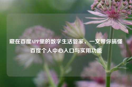 藏在百度APP里的数字生活管家,一文带你搞懂百度个人中心入口与实用功能