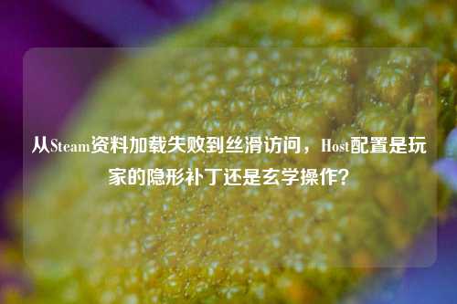 从Steam资料加载失败到丝滑访问,Host配置是玩家的隐形补丁还是玄学操作?