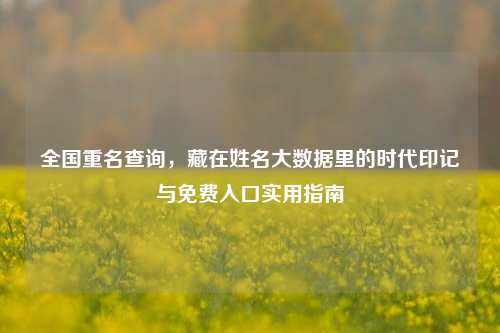 全国重名查询,藏在姓名大数据里的时代印记与免费入口实用指南