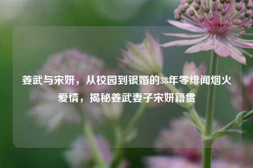 姜武与宋妍,从校园到银婚的38年零绯闻烟火爱情,揭秘姜武妻子宋妍籍贯
