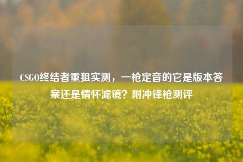 CSGO终结者重狙实测,一枪定音的它是版本答案还是情怀滤镜?附冲锋枪测评