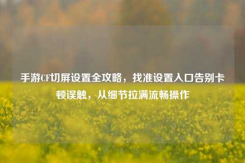 手游CF切屏设置全攻略,找准设置入口告别卡顿误触,从细节拉满流畅操作