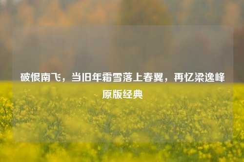 破恨南飞，当旧年霜雪落上春翼，再忆梁逸峰原版经典