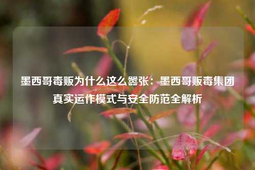 墨西哥毒贩为什么这么嚣张：墨西哥贩毒集团真实运作模式与安全防范全解析