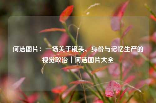 何洁图片：一场关于镜头、身份与记忆生产的视觉政治｜何洁图片大全