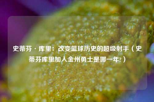 史蒂芬·库里：改变篮球历史的超级射手（史蒂芬库里加入金州勇士是哪一年?）