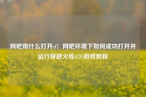 网吧用什么打开cf:网吧环境下如何成功打开并运行穿越火线(CF)游戏教程