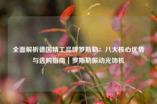 全面解析德国精工品牌罗斯勒：八大核心优势与选购指南｜罗斯勒振动光饰机