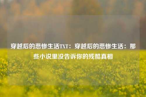 穿越后的悲惨生活TXT：穿越后的悲惨生活：那些小说里没告诉你的残酷真相