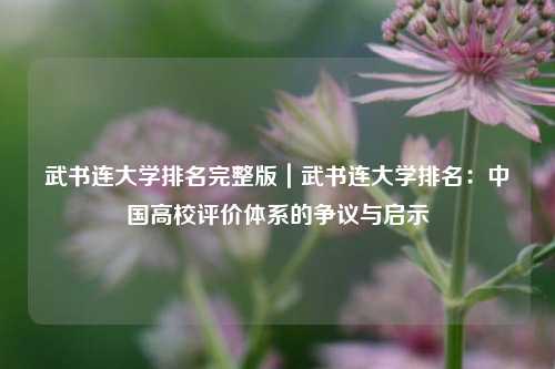 武书连大学排名完整版|武书连大学排名:中国高校评价体系的争议与启示