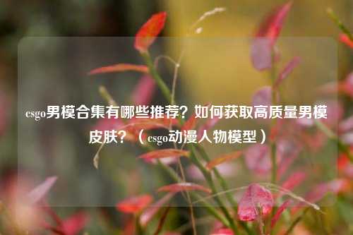 csgo男模合集有哪些推荐？如何获取高质量男模皮肤？（csgo动漫人物模型）