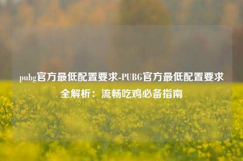 pubg官方最低配置要求-PUBG官方最低配置要求全解析：流畅吃鸡必备指南
