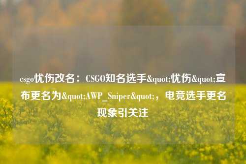 csgo忧伤改名：CSGO知名选手"忧伤"宣布更名为"AWP_Sniper"，电竞选手更名现象引关注