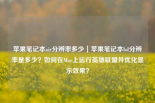 苹果笔记本air分辨率多少｜苹果笔记本lol分辨率是多少？如何在Mac上运行英雄联盟并优化显示效果？