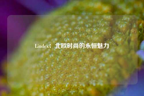 Lindex：北欧时尚的永恒魅力