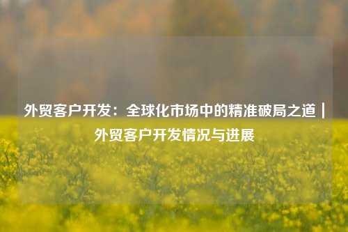 外贸客户开发：全球化市场中的精准破局之道｜外贸客户开发情况与进展