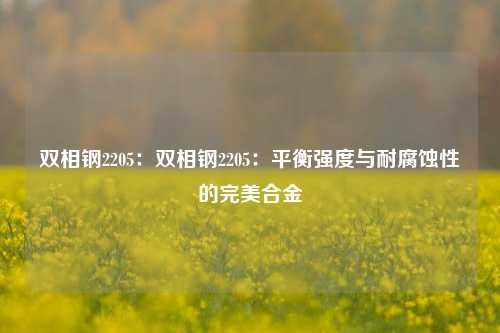 双相钢2205：双相钢2205：平衡强度与耐腐蚀性的完美合金