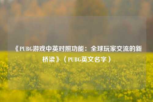 《PUBG游戏中英对照功能：全球玩家交流的新桥梁》（PUBG英文名字）