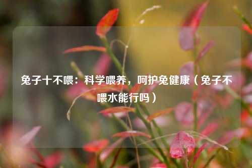 兔子十不喂：科学喂养，呵护兔健康（兔子不喂水能行吗）