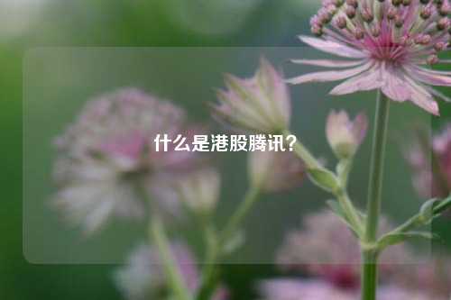 什么是港股腾讯？