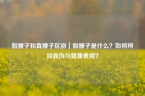 假腰子和真腰子区别｜假腰子是什么？如何辨别真伪与健康食用？