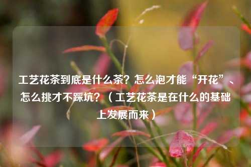 工艺花茶到底是什么茶？怎么泡才能“开花”、怎么挑才不踩坑？（工艺花茶是在什么的基础上发展而来）