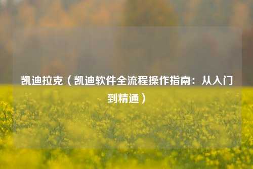 凯迪拉克（凯迪软件全流程操作指南：从入门到精通）