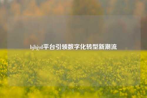 bjhjyd平台引领数字化转型新潮流