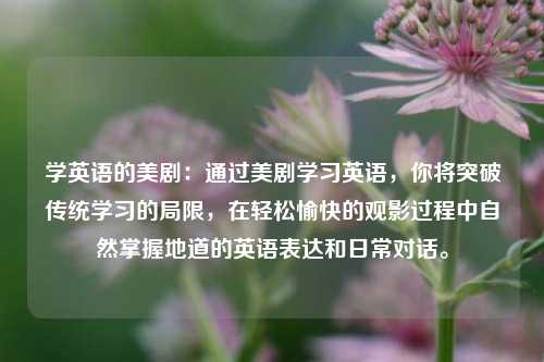 学英语的美剧：通过美剧学习英语，你将突破传统学习的局限，在轻松愉快的观影过程中自然掌握地道的英语表达和日常对话。